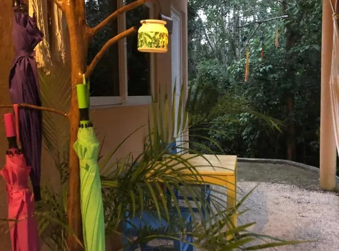 Acomodação com café da manhã  Casa Tzalam Selva 4*