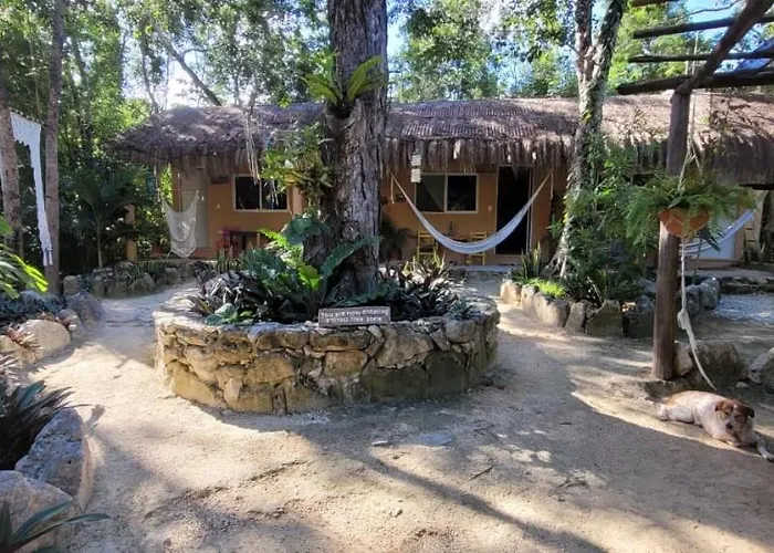 Casa Tzalam Selva 4*