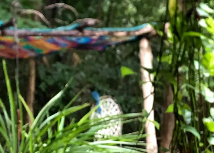 Casa Tzalam Selva 4* Tulum