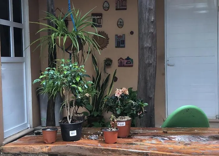 Casa Tzalam Selva 4*