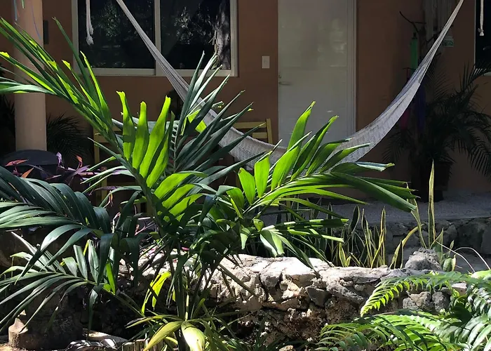 Acomodação com café da manhã  Casa Tzalam Selva 4*