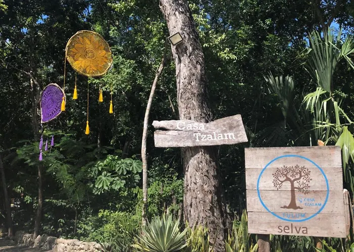 Acomodação com café da manhã  Casa Tzalam Selva 4*