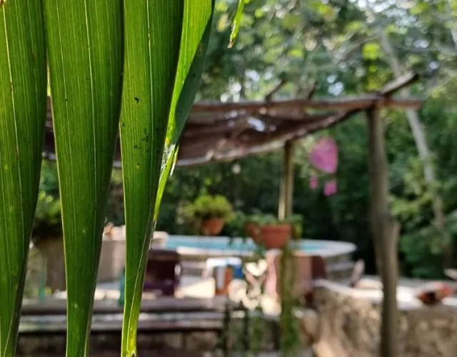 Casa Tzalam Selva 4* Tulum