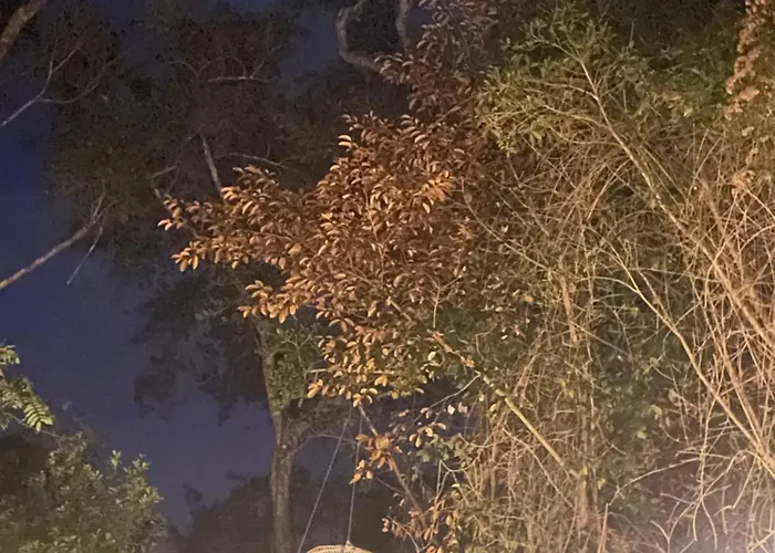 Casa Tzalam Selva 4*