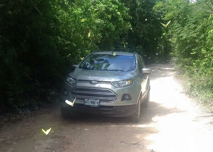 Casa Tzalam Selva Acomodação com café da manhã  Tulum