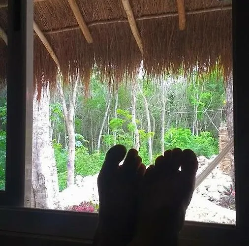 Casa Tzalam Selva Acomodação com café da manhã  Tulum