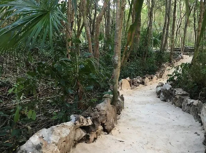 Casa Tzalam Selva Tulum
