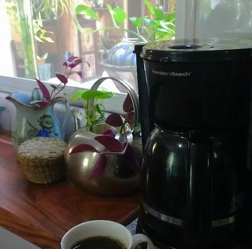Acomodação com café da manhã  Casa Tzalam Selva Tulum