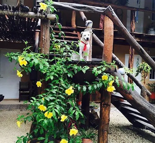 Casa Tzalam Selva Acomodação com café da manhã  4*