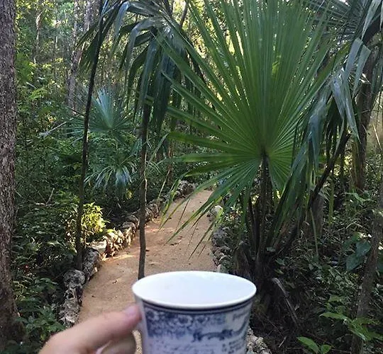 Casa Tzalam Selva Acomodação com café da manhã  Tulum