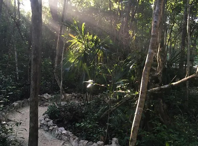 Casa Tzalam Selva Acomodação com café da manhã  4*