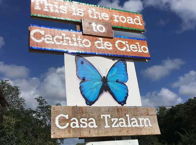 Casa Tzalam Selva Acomodação com café da manhã  4*