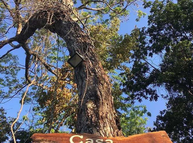 Acomodação com café da manhã  Casa Tzalam Selva Tulum