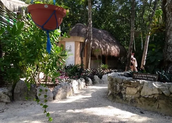 Acomodação com café da manhã  Casa Tzalam Selva 4*