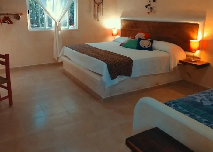 Casa Tzalam Selva