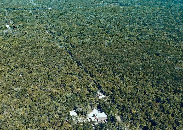 Acomodação com café da manhã  Casa Tzalam Selva